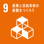 sdgs-9